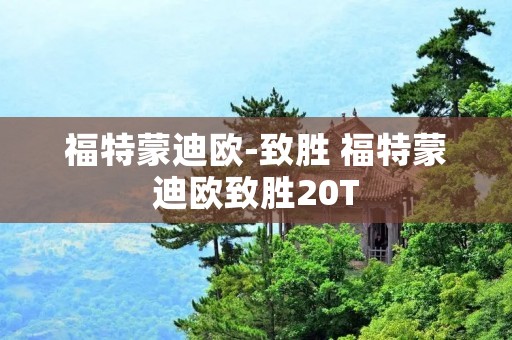 福特蒙迪欧-致胜 福特蒙迪欧致胜20T