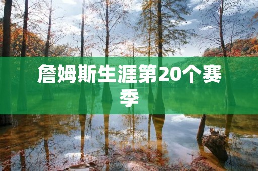 詹姆斯生涯第20个赛季:超越时空的传奇 詹姆斯生涯第20个赛季:超越时空的传奇