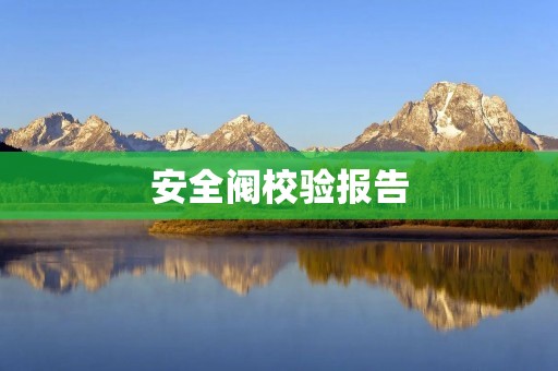 安全阀校验报告:如何保障设备运行安全