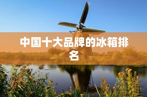 中国十大品牌的冰箱排名 中国十大品牌的冰箱排名