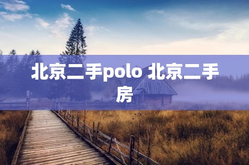 北京二手polo 北京二手房