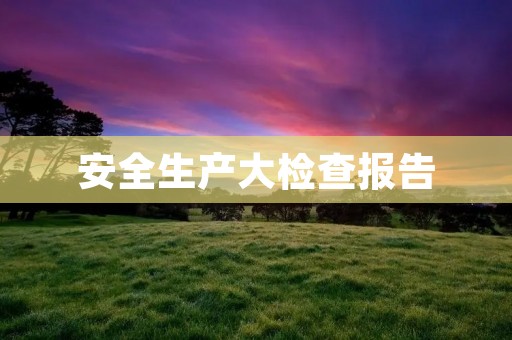 安全生产大检查报告:建设安全生产的坚实防线
