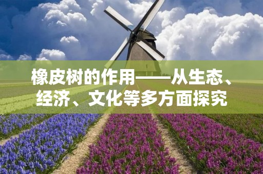 橡皮树的作用——从生态、经济、文化等多方面探究