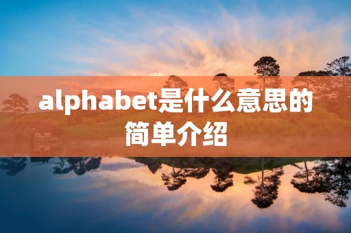 alphabet是什么意思的简单介绍