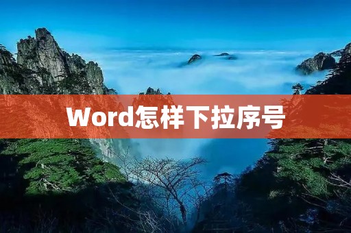 Word怎样下拉序号：详解Word下拉序号的使用方法
