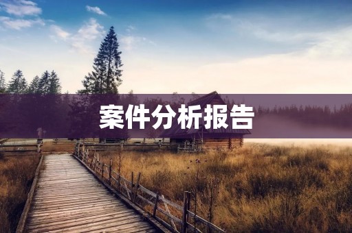 案件分析报告:某公司财务造假案