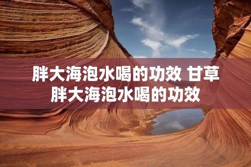 胖大海泡水喝的功效 甘草胖大海泡水喝的功效