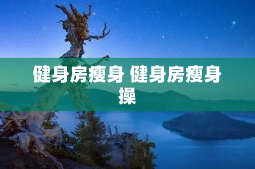 健身房瘦身 健身房瘦身操