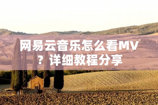 网易云音乐怎么看MV？详细教程分享