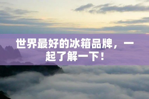 世界最好的冰箱品牌，一起了解一下！