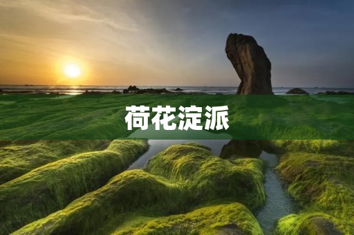 荷花淀派:一场文化艺术的盛宴 荷花淀派:一场文化艺术的盛宴