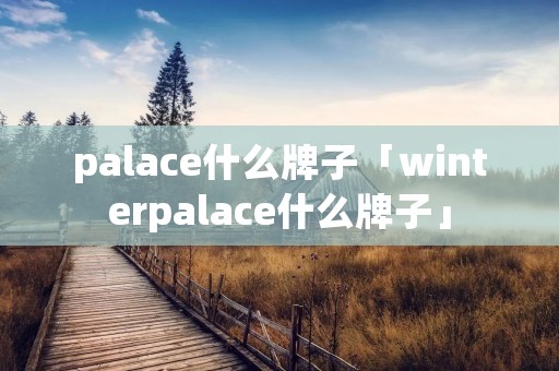 palace什么牌子「winterpalace什么牌子」