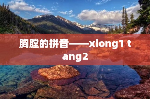 胸膛的拼音——xiong1 tang2
