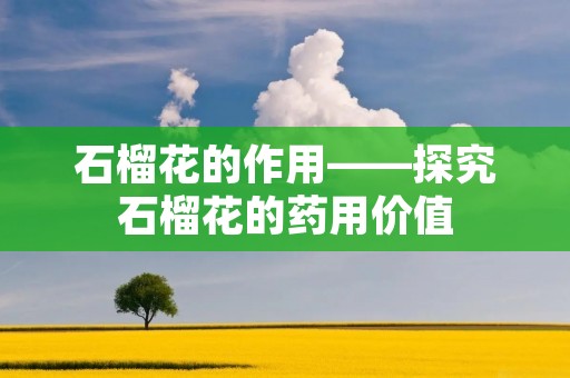 石榴花的作用——探究石榴花的药用价值 石榴花的作用——探究石榴花的药用价值