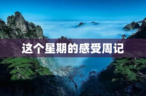 这个星期的感受周记