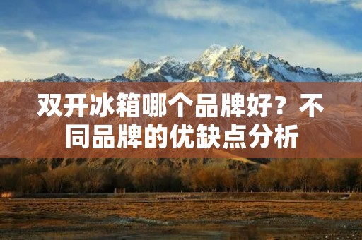 **冰箱哪个品牌好？不同品牌的优缺点分析