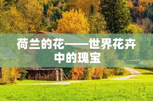 荷兰的花——世界花卉中的瑰宝 荷兰的花——世界花卉中的瑰宝