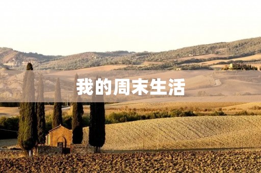 我的周末生活