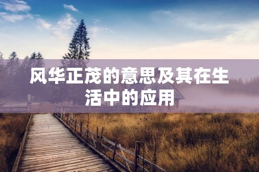 风华正茂的意思及其在生活中的应用