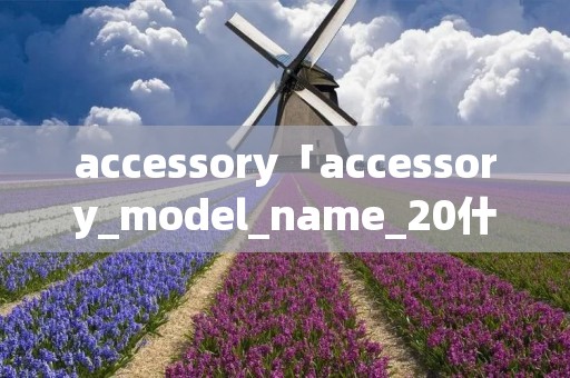 accessory「accessory_model_name_20什么意思」