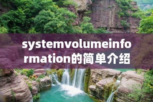 systemvolumeinformation的简单介绍