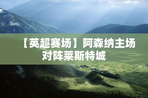 【英超赛场】阿森纳主场对阵莱斯特城