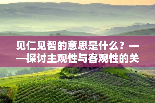 见仁见智的意思是什么?——探讨主观性与客观性的关系