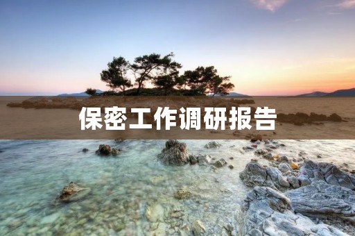 保密工作调研报告