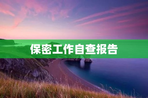 保密工作自查报告