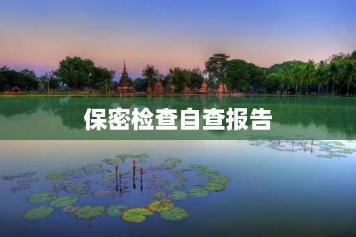 保密检查自查报告