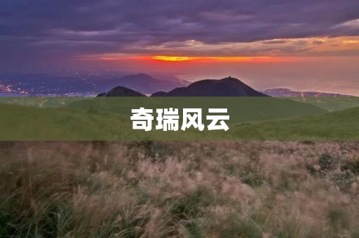 奇瑞风云:中国汽车行业的新贵 奇瑞风云:中国汽车行业的新贵