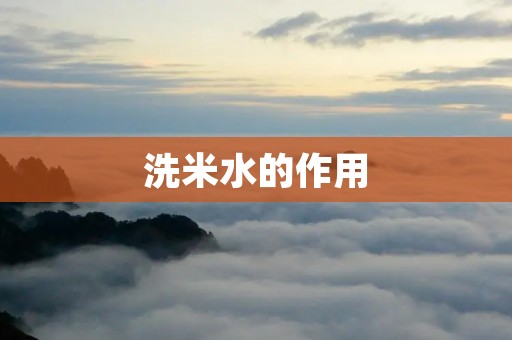洗米水的作用：为你的健康保驾护航
