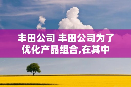 丰田公司 丰田公司为了优化产品组合,在其中 丰田公司 丰田公司为了优化产品组合,在其中