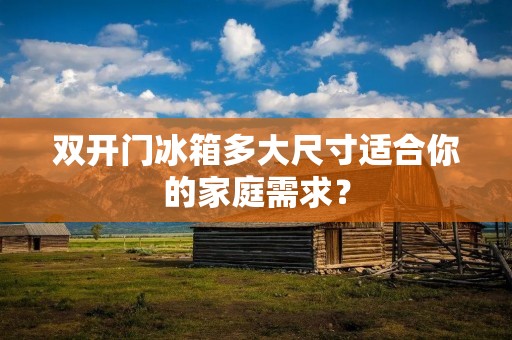 **门冰箱多大尺寸适合你的家庭需求？