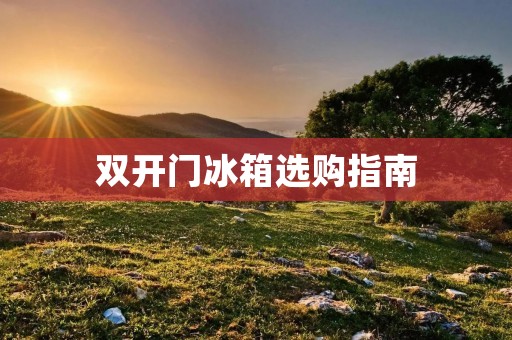 **门冰箱选购指南：如何选择最适合你的品牌