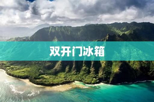 **门冰箱：家庭生活的舒适与便利