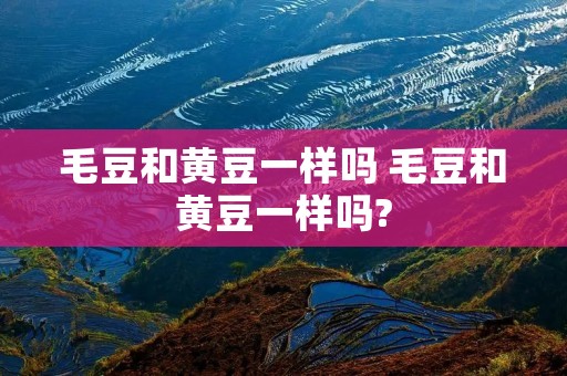 毛豆和黄豆一样吗 毛豆和黄豆一样吗?