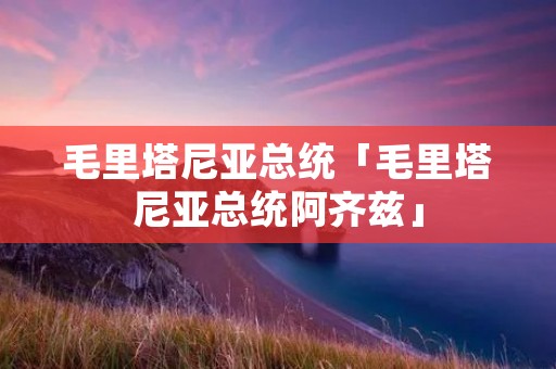 毛里塔尼亚总统「毛里塔尼亚总统阿齐兹」