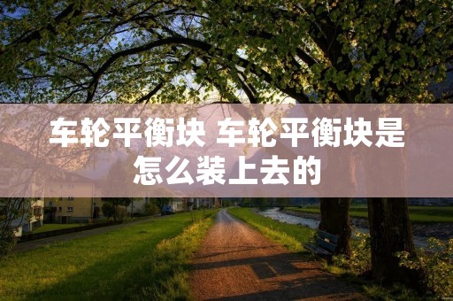 车轮平衡块 车轮平衡块是怎么装上去的 车轮平衡块 车轮平衡块是怎么装上去的