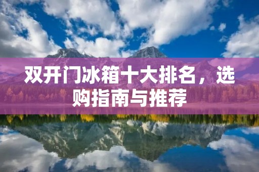 **门冰箱十大排名，选购指南与推荐