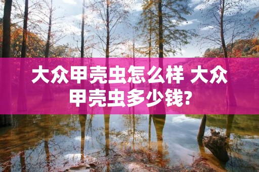 大众甲壳虫怎么样 大众甲壳虫多少钱? 大众甲壳虫怎么样 大众甲壳虫多少钱?