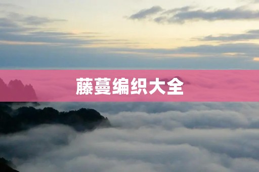 藤蔓编织大全:手工DIY教程 藤蔓编织大全:手工DIY教程