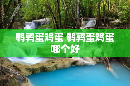 鹌鹑蛋鸡蛋 鹌鹑蛋鸡蛋哪个好