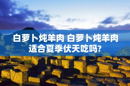 白萝卜炖羊肉 白萝卜炖羊肉适合夏季伏天吃吗?