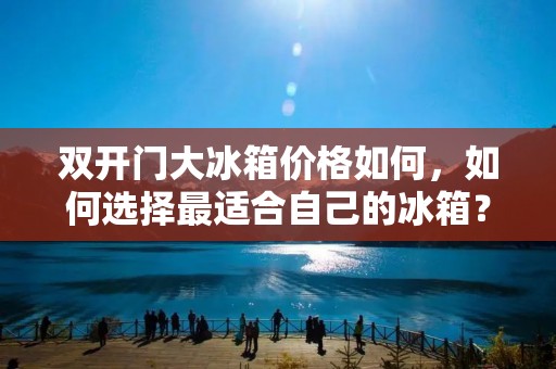 **门大冰箱价格如何，如何选择最适合自己的冰箱？