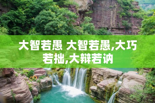大智若愚 大智若愚,大巧若拙,大辩若讷