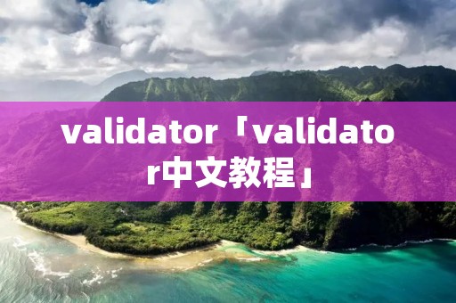 validator「validator中文教程」