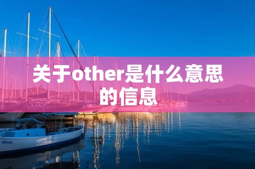 关于other是什么意思的信息