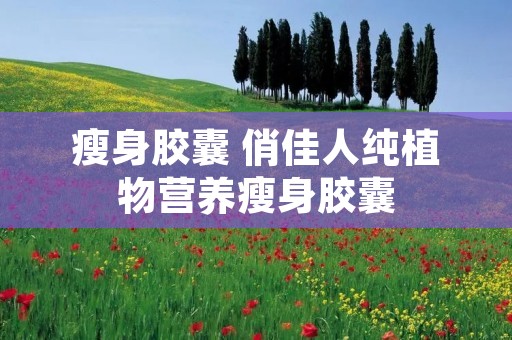 瘦身胶囊 俏佳人纯植物营养瘦身胶囊