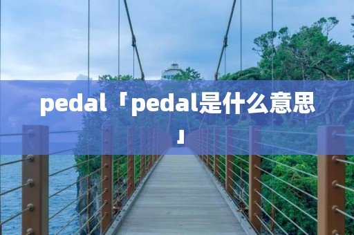 pedal「pedal是什么意思」 pedal「pedal是什么意思」